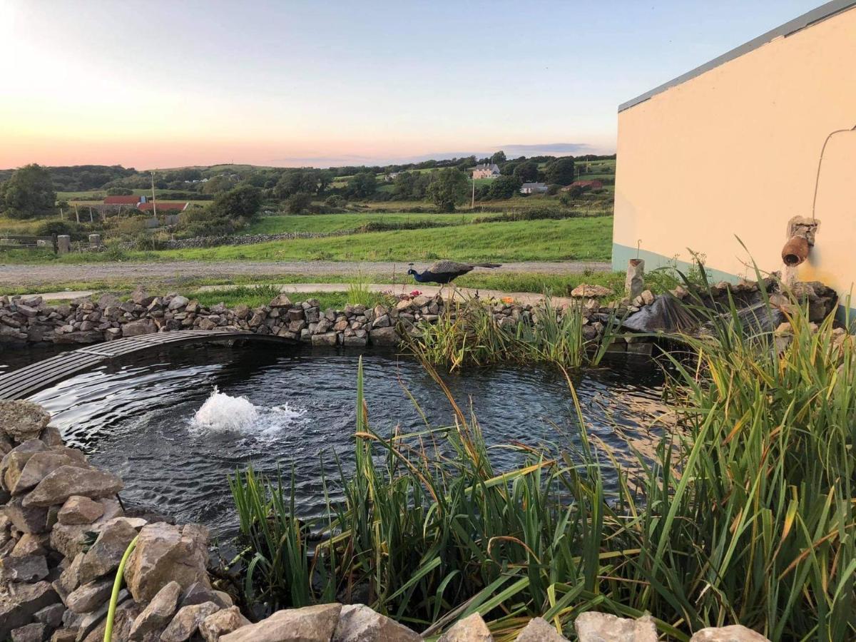 Farm Stay Property Pets And Families Welcome 拉斯诺拉 外观 照片