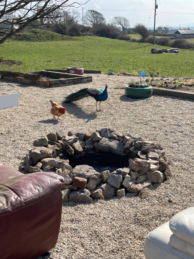 Farm Stay Property Pets And Families Welcome 拉斯诺拉 外观 照片