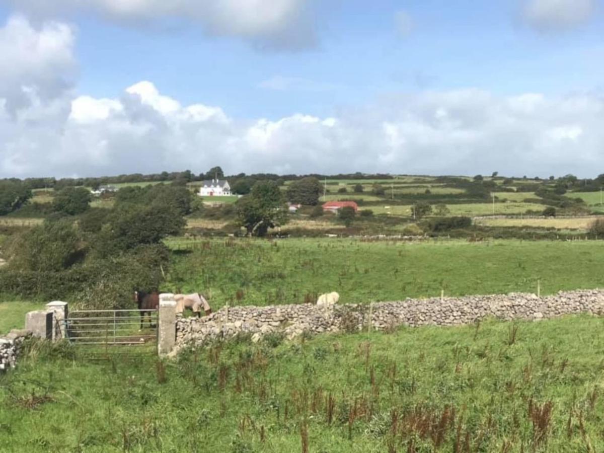 Farm Stay Property Pets And Families Welcome 拉斯诺拉 外观 照片